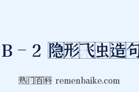B-2隐形飞虫造句是什么意思的图片